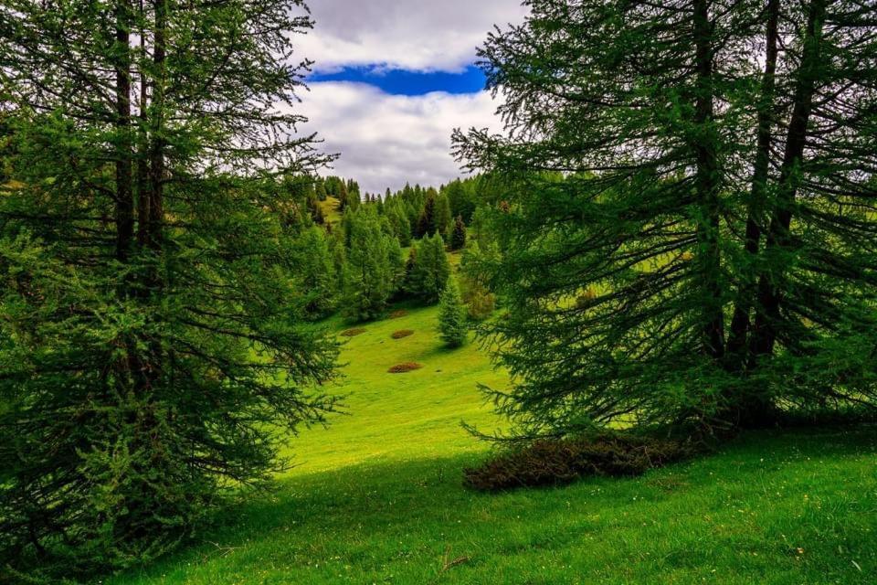 Eco-Hotel Et Yourtes Du Mercantour Гийом Экстерьер фото